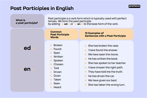 pour past tense|Pour Past Tense and Past Participle Verb Forms in English